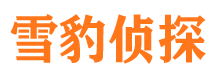 海安市婚外情调查